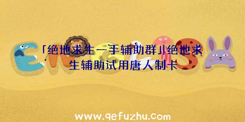 「绝地求生一手辅助群」|绝地求生辅助试用唐人制卡